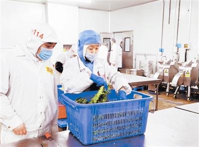天津確保校園食品安全 監(jiān)管先行，教育軟件賦能